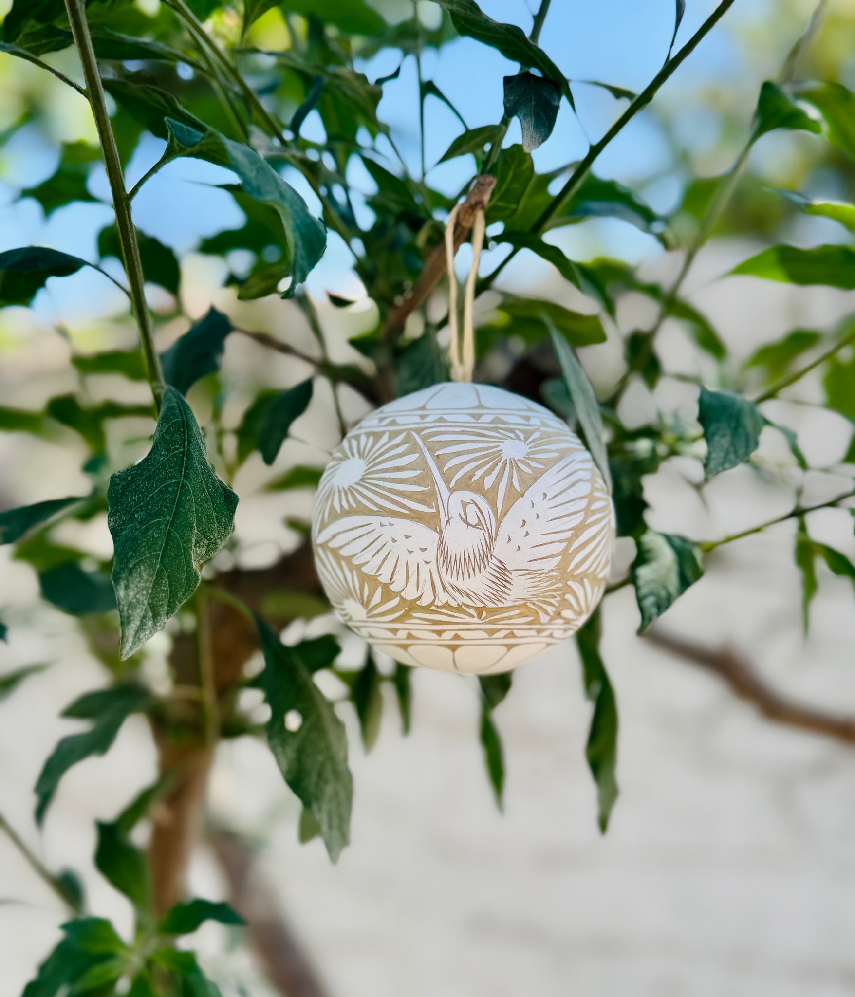 Jicara Sphere Ornaments