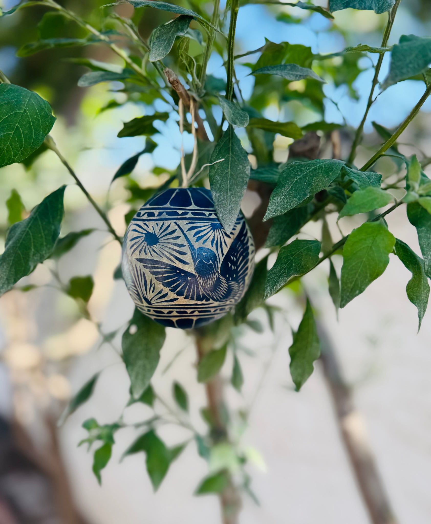 Jicara Sphere Ornaments