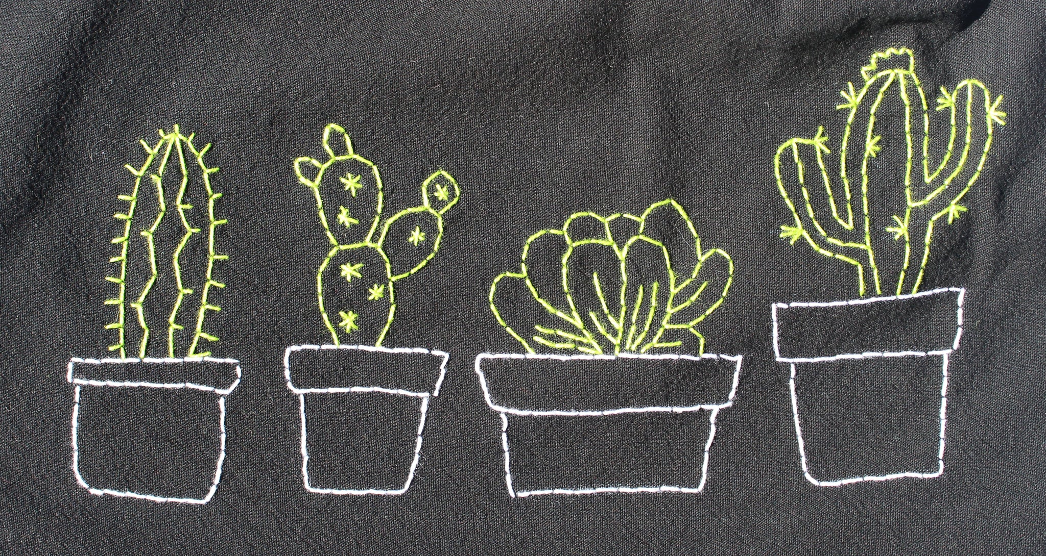 Four Planted Cacti